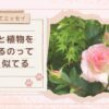 【子育てエッセイ】育児と植物を育てるのって、よく似てる