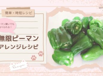【簡単・時短レシピ】ピーマン嫌いでも食べられる！ 無限ピーマン アレンジレシピ