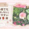 【無農薬でバラ栽培】初心者でも「失敗しない」育てやすい品種5選