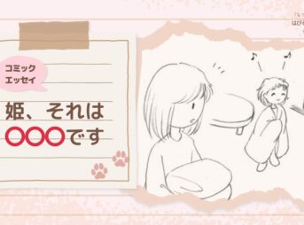 【コミックエッセイ】姫、それは○○○です