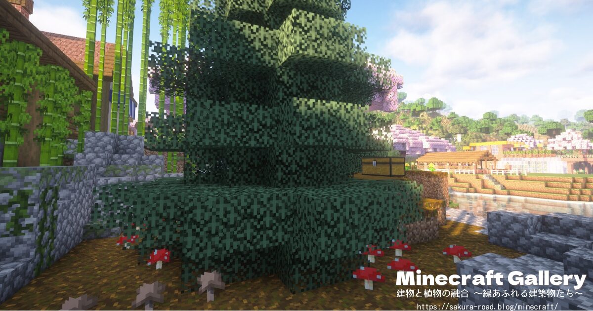 【マインクラフト】トウヒの植林場