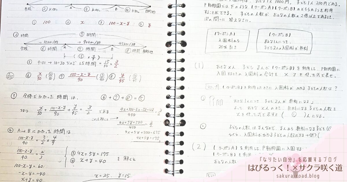 【塾なし高校受験】『数学の新研究』解説メモ