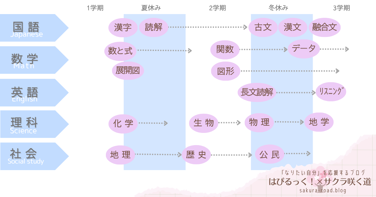 【塾なし高校受験】『全国高校入試問題正解 分野別過去問』取り組み実例