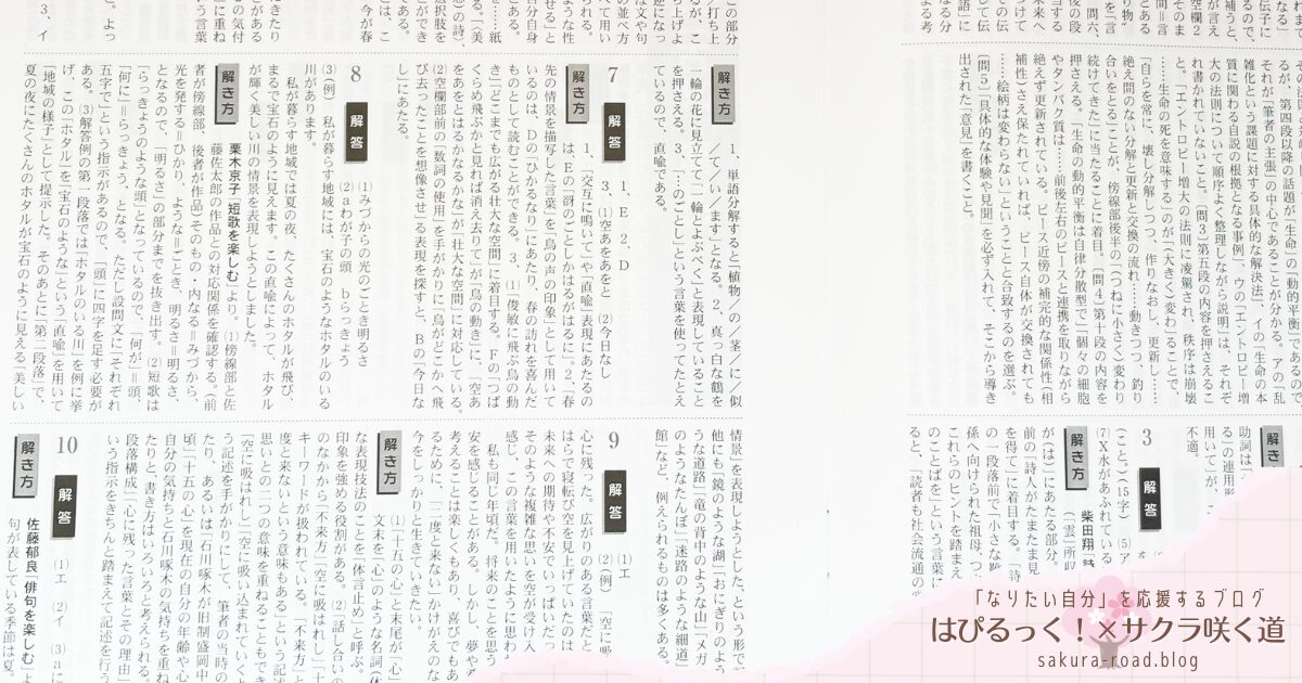 【塾なし高校受験】『全国高校入試問題正解 分野別過去問（2024年受験用）国語 - 別冊解答・解き方 -』