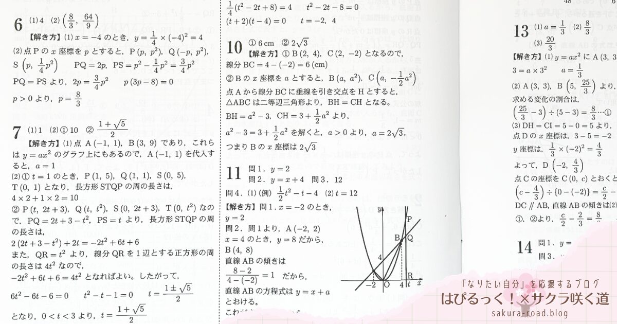 【塾なし高校受験】『全国高校入試問題正解 分野別過去問（2024年受験用）数学（数と式〜） - 別冊解答・解き方 -』