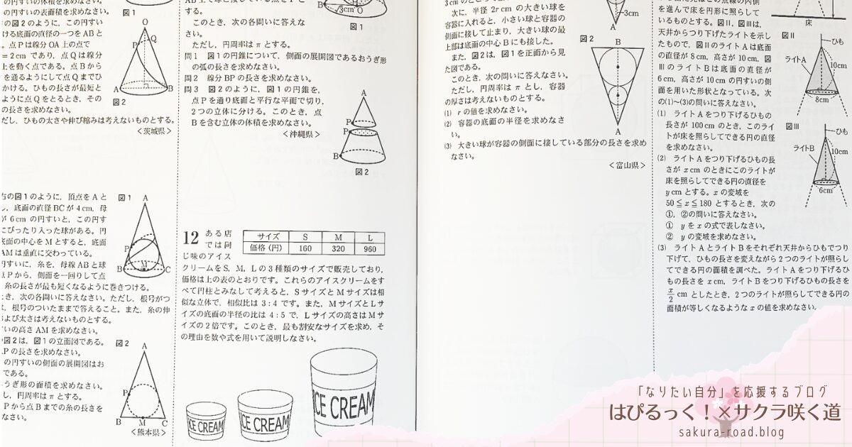 【塾なし高校受験】『全国高校入試問題正解 分野別過去問（2024年受験用）数学（図形） - 空間図形 -』