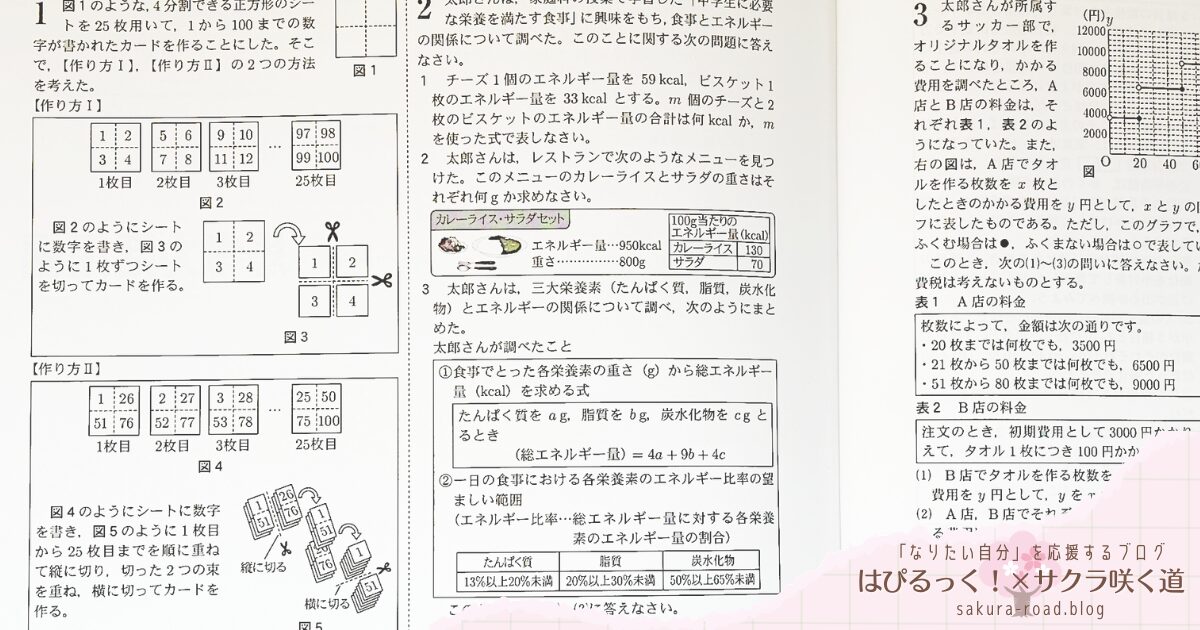 【塾なし高校受験】『全国高校入試問題正解 分野別過去問（2024年受験用）数学（数と式〜） - 思考力活用編 -』