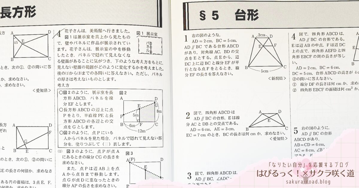 塾なし高校受験】苦手分野の仕分けに『全国高校入試問題正解｜分野別