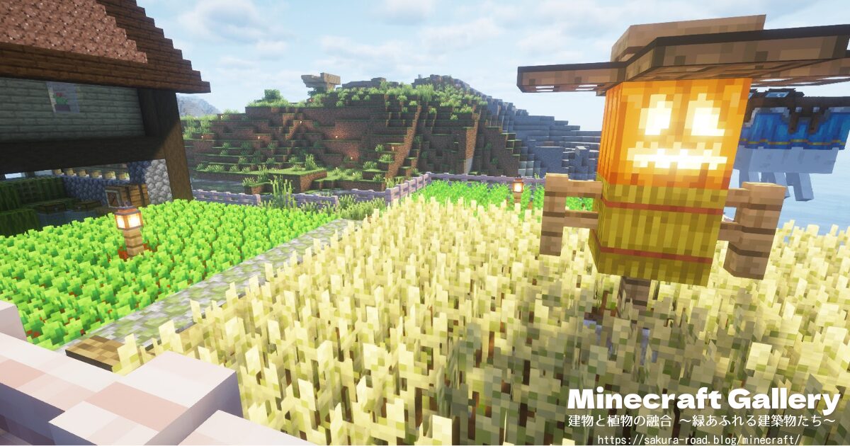 【マイクラ】教会&薬屋の畑とカカシ(シェーダーあり)