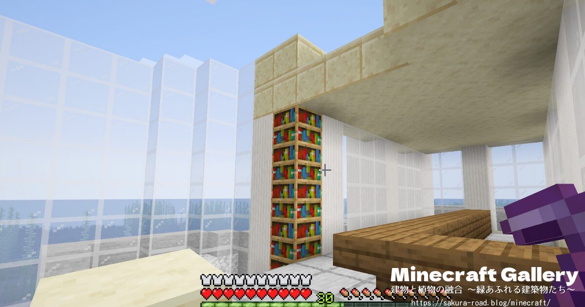【マイクラ建築】図書館&水族館 1階内装建築中